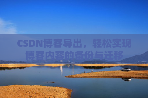 CSDN博客导出，轻松实现博客内容的备份与迁移