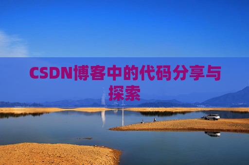 CSDN博客中的代码分享与探索